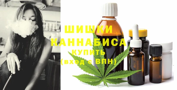 стаф Медногорск