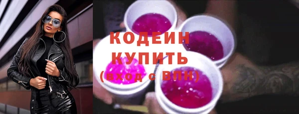 стаф Медногорск