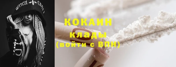 прущие грибы Михайловка