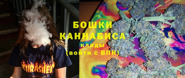 стаф Медногорск