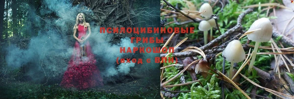 ALPHA-PVP Дмитровск