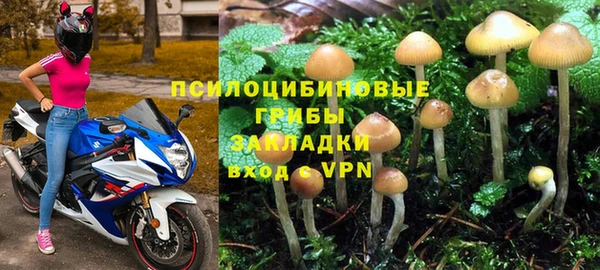 apvp Медвежьегорск
