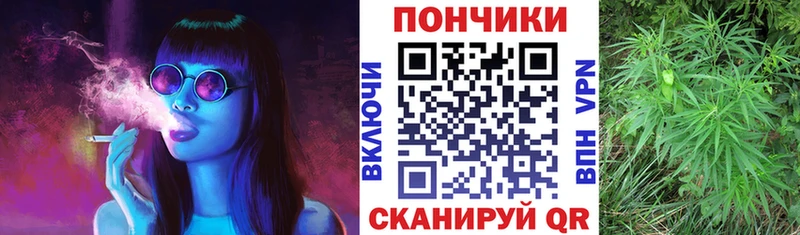 Конопля ГИДРОПОН  Дно 